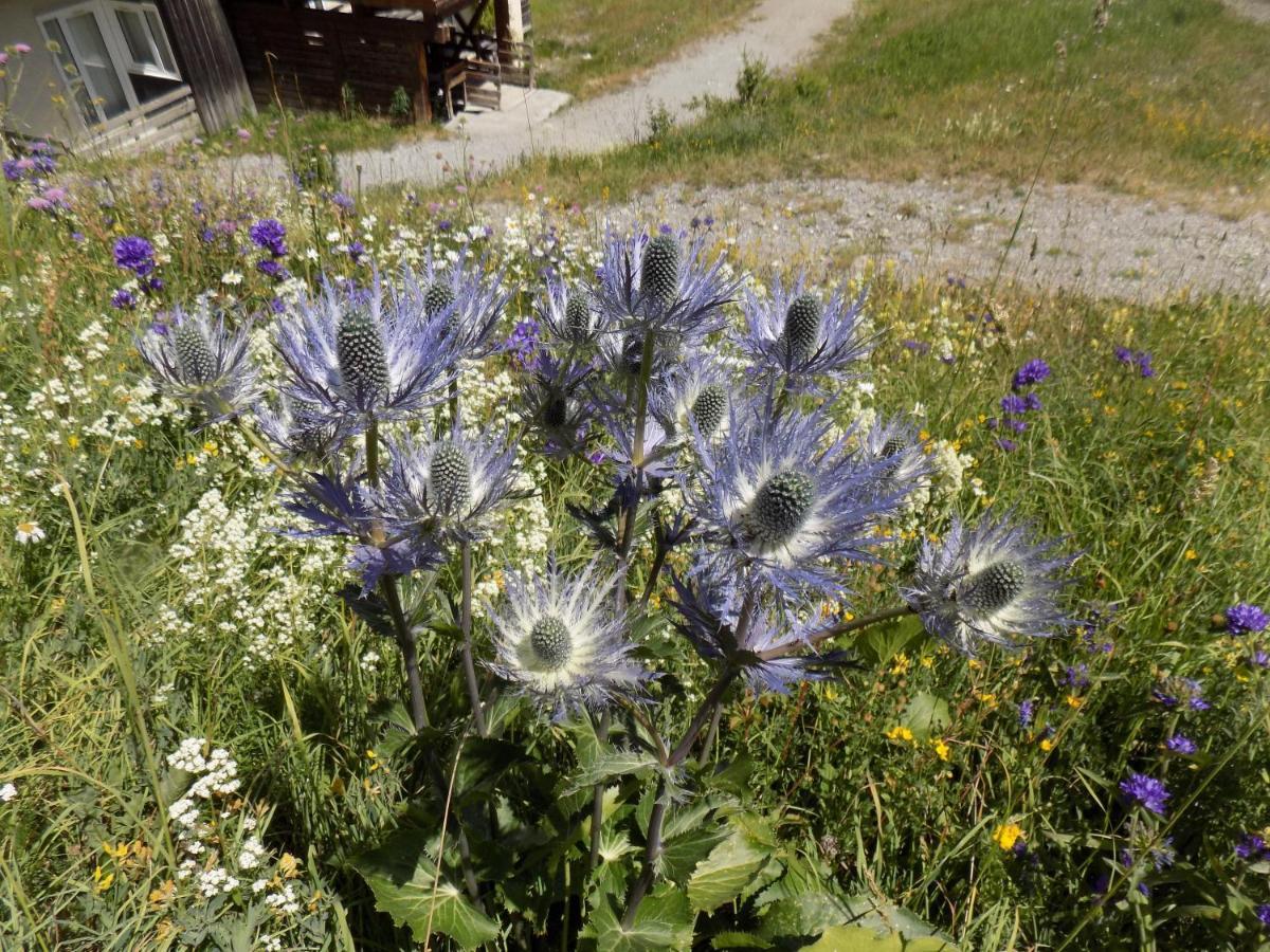 Appart 4 P Pied Des Pistes Risoul 1850 Bagian luar foto